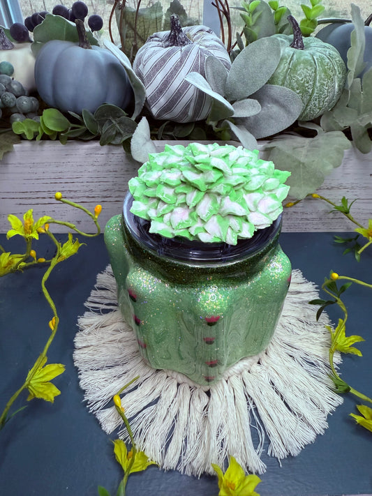 🌵🌸cactus🌸🌵