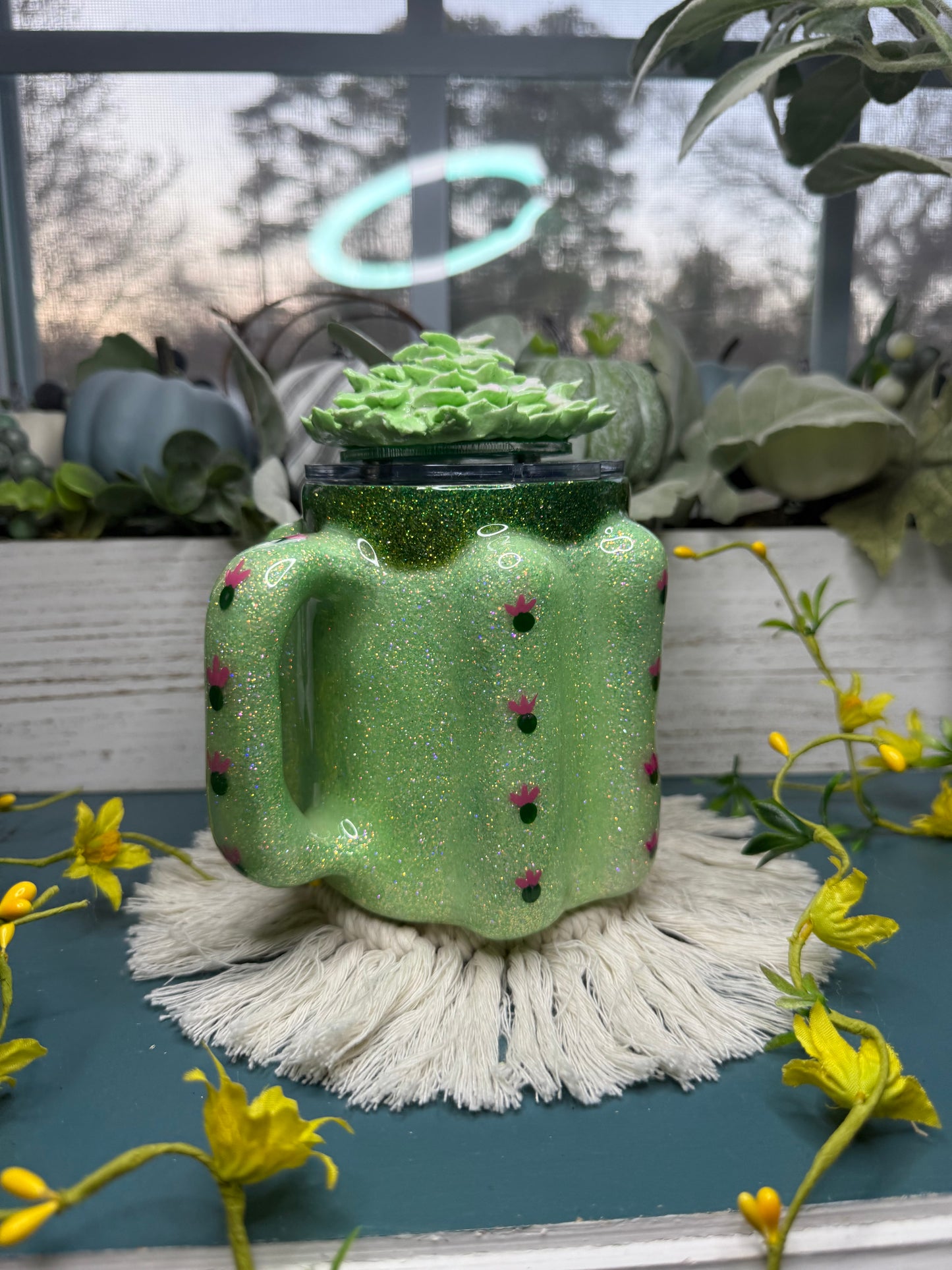 🌵🌸cactus🌸🌵