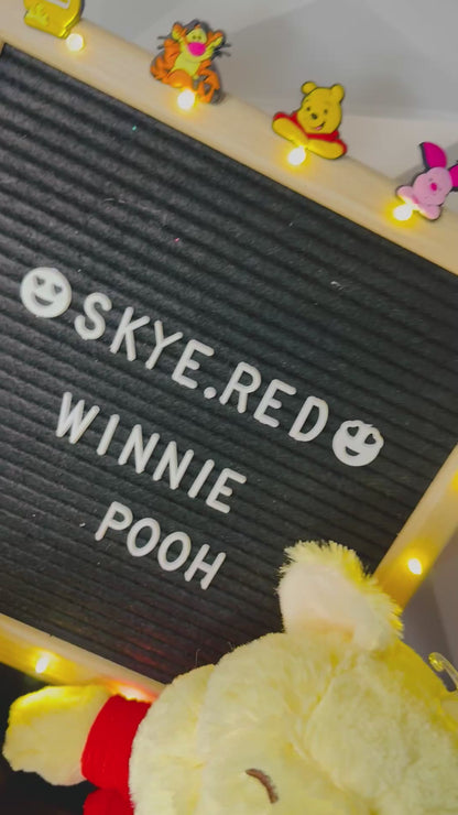 🍯🧸Winnie Pooh🧸🍯